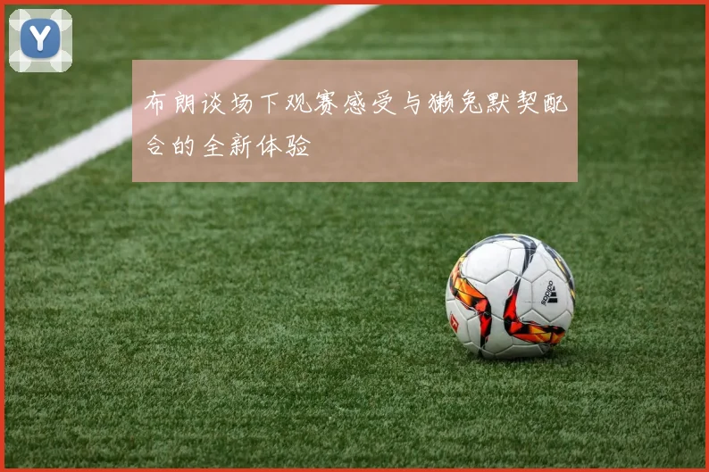 布朗谈场下观赛感受与獭兔默契配合的全新体验