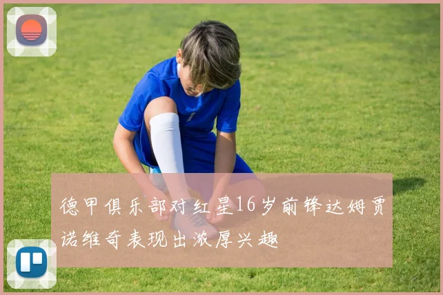 德甲俱乐部对红星16岁前锋达姆贾诺维奇表现出浓厚兴趣